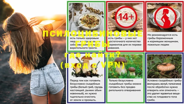 первитин Белокуриха