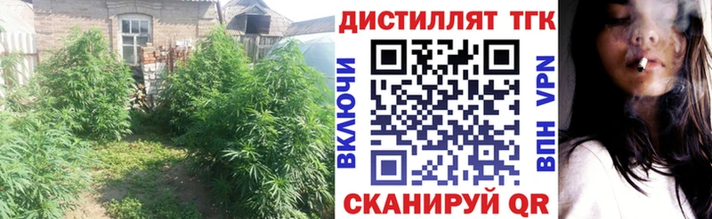 ТГК вейп с тгк кракен зеркало Воркута наркота